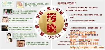 临朐玻璃胶厂与宝龙达集团 如何利用个人互联网服务实现在线咨询？