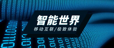 梧桐招采App 个人互联网服务中的招采行业颠覆者